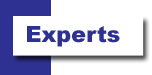 Expert Services